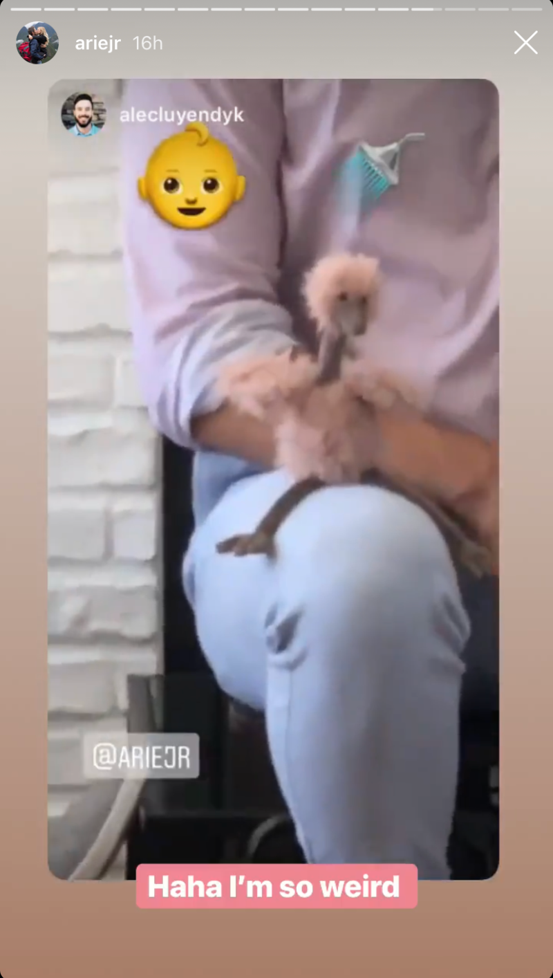 bachelor-arie-luyendyk-lauren-burnham-baby-shower