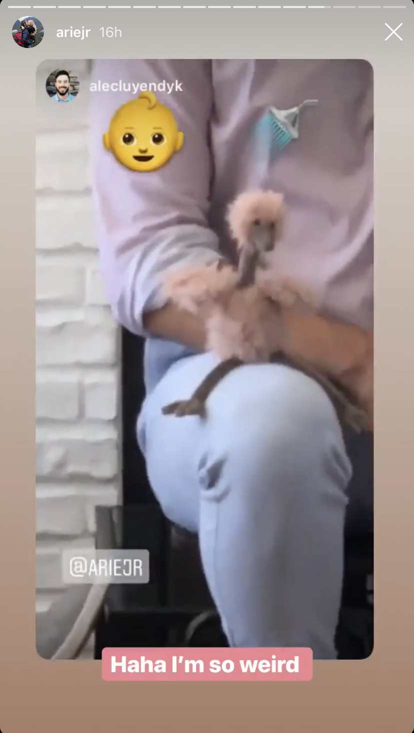 bachelor-arie-luyendyk-lauren-burnham-baby-shower