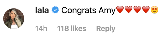 Amy Schumer Instagram Comments Baby