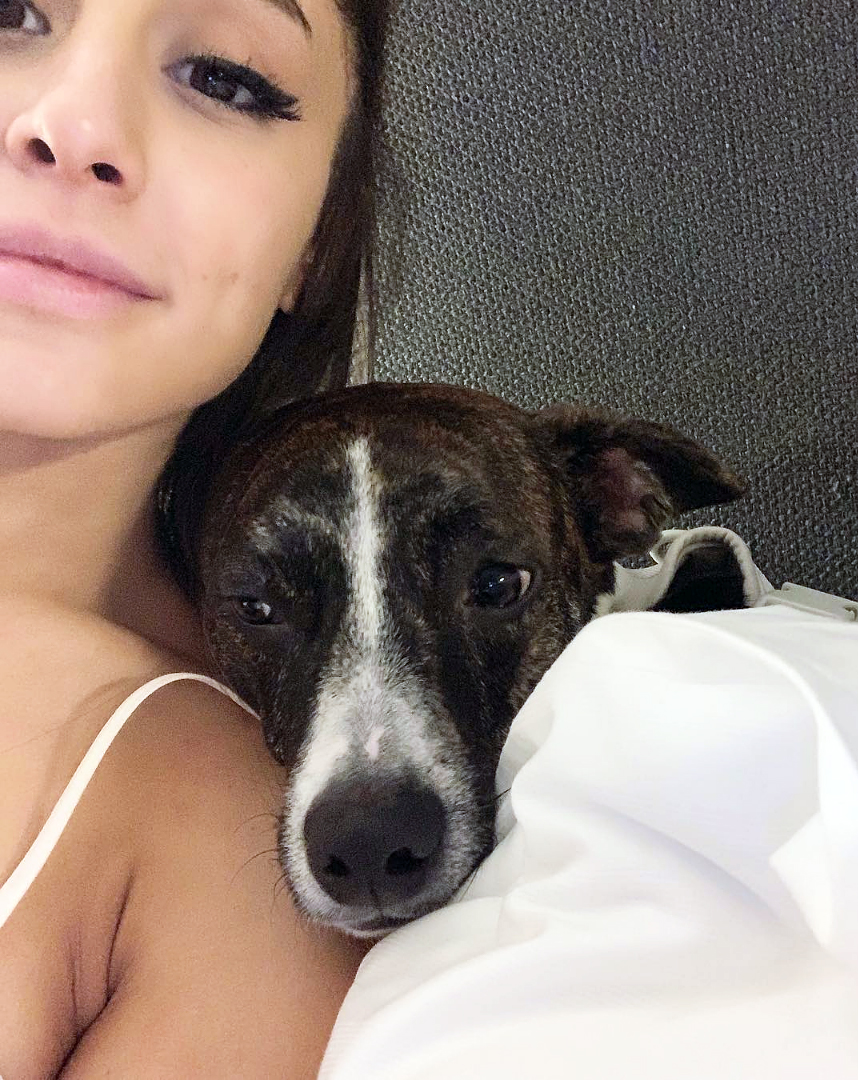 Ariana Grande Best celeb dog moms