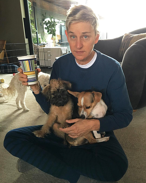 Ellen DeGeneres Best celeb dog moms