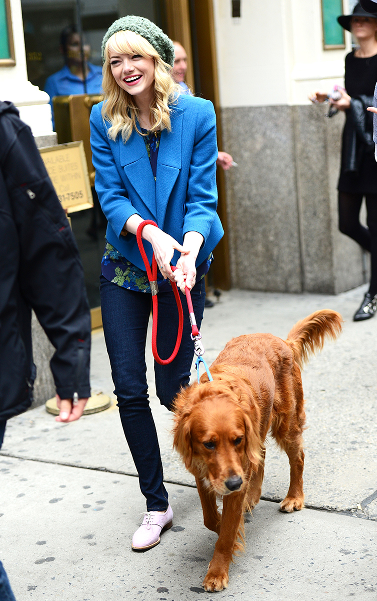 Emma Stone Best celeb dog moms