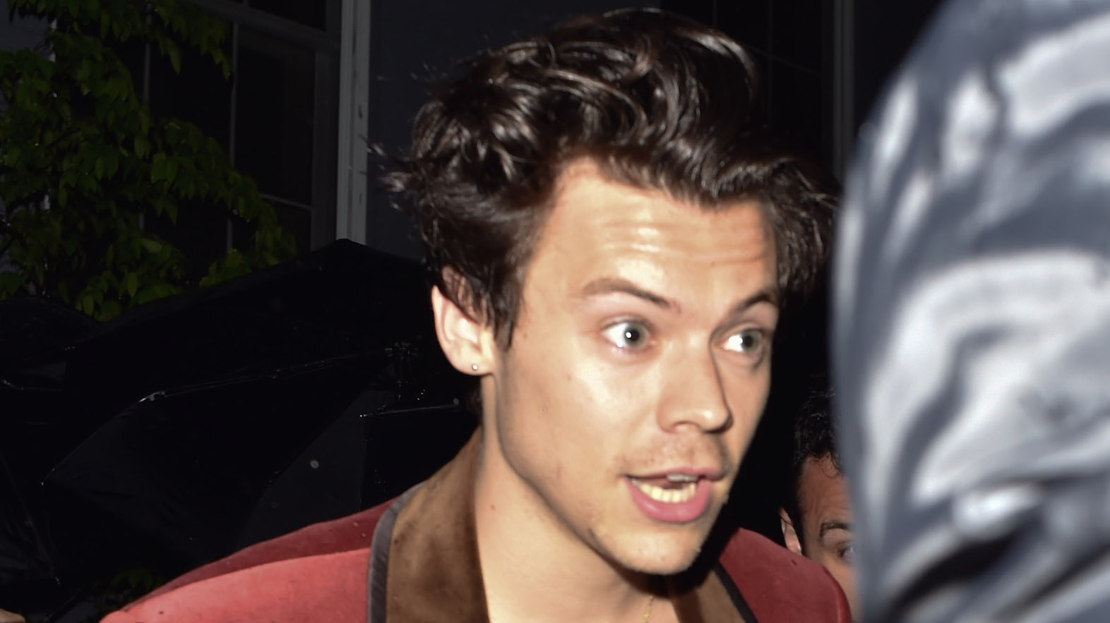 Chief69 Com Porn - Harry Styles Pierced His Ear Before the Met Gala â€” See Photos