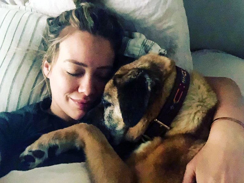 Hilary Duff Best celeb dog moms