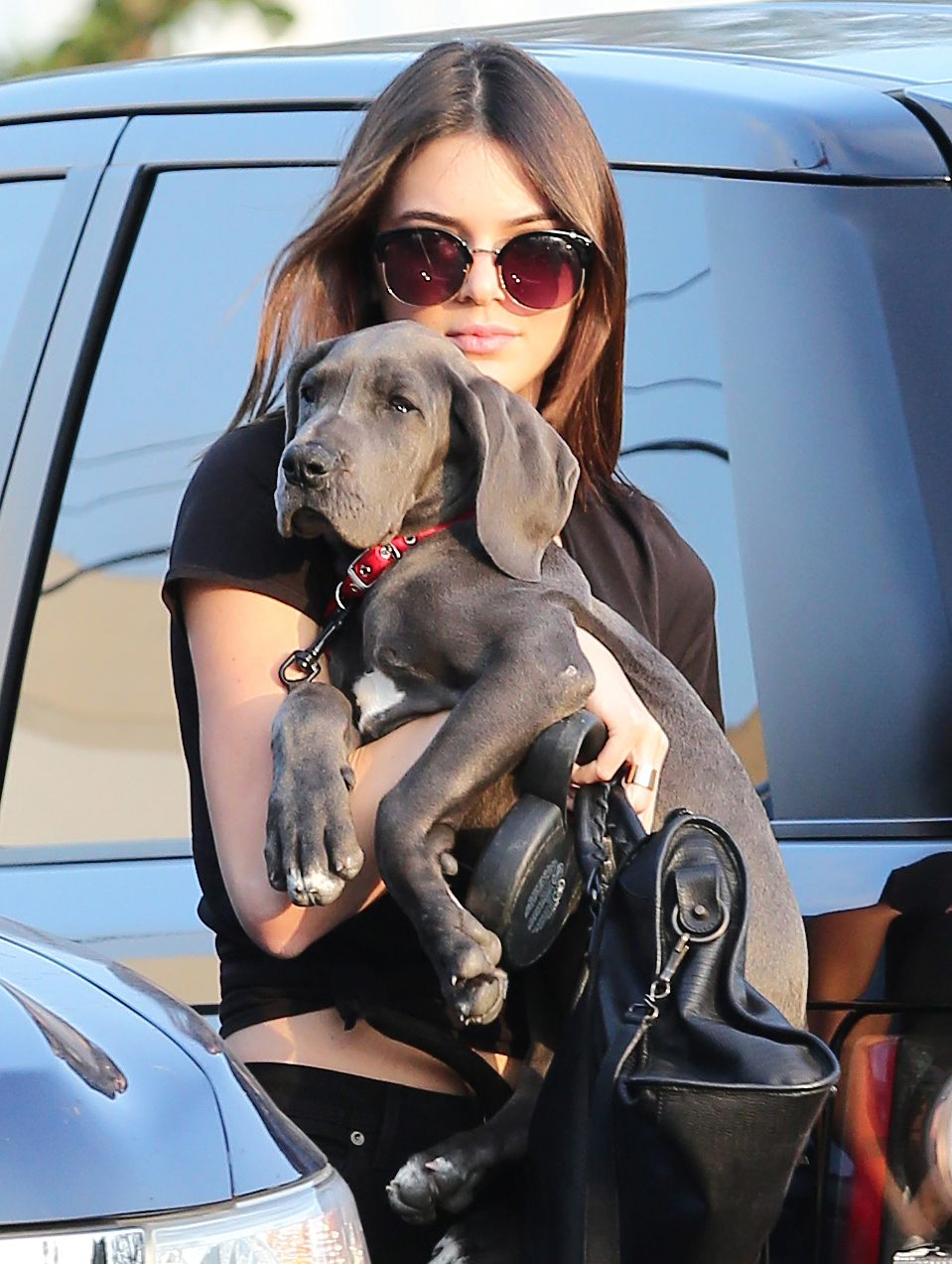 Kendall Jenner Best celeb dog moms