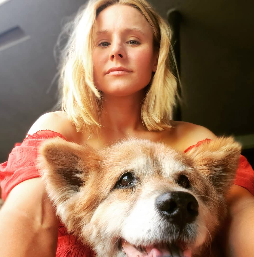 Kristen Bell Best celeb dog moms