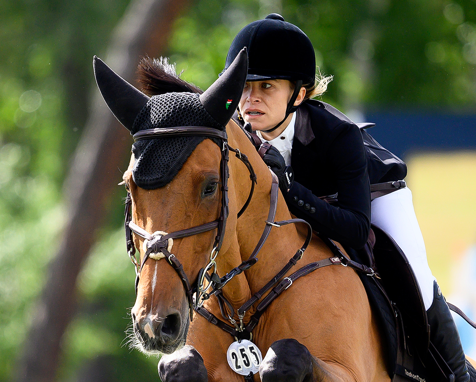 Mary Kate Olsen Rides Horse