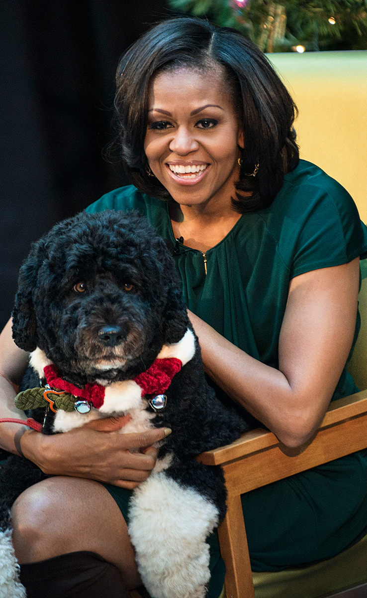 Michelle Obama Best celeb dog moms