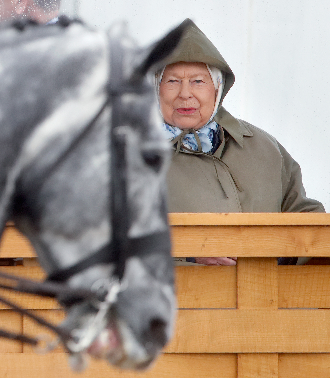 Queen Elizabeth at the royal windsor horse show