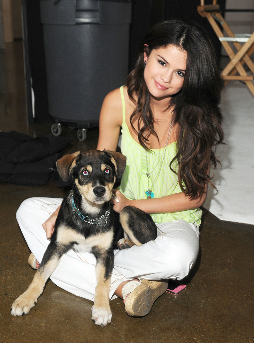 Selena Gomez Best celeb dog moms