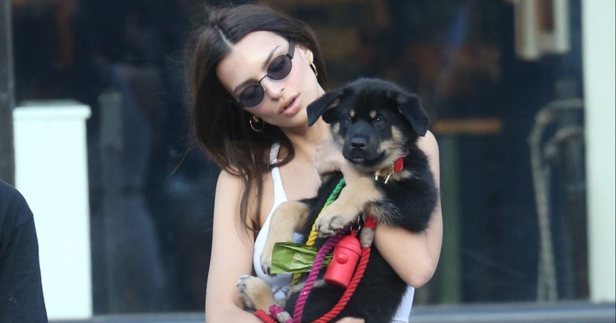 Emily Ratajkowski – Seen with her dog Colombo out in
