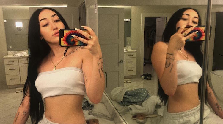 Noah Cyrus body shamer chest size mirror selfie crop top