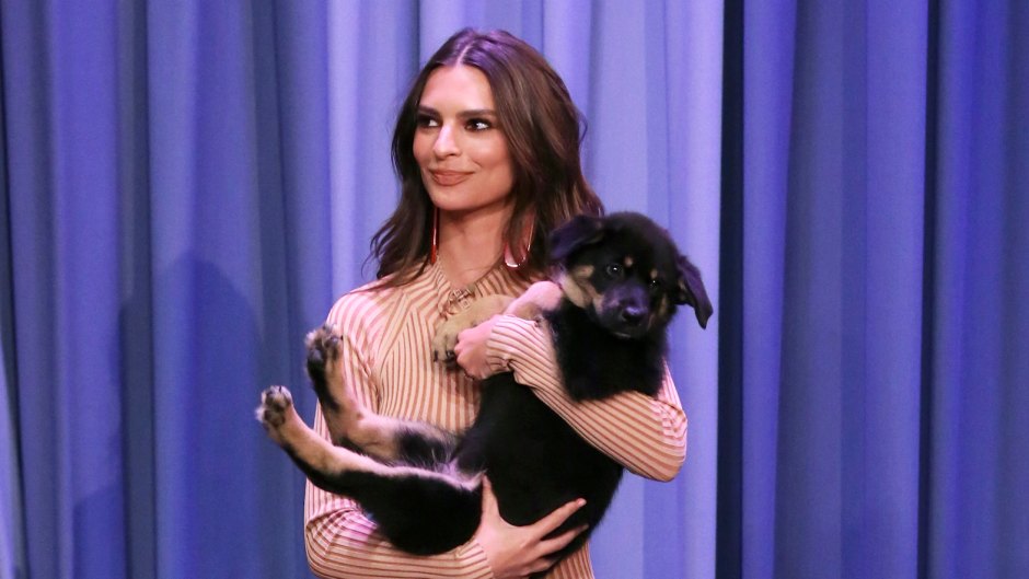 Emily Ratajkowski and Her Puppy Colombo