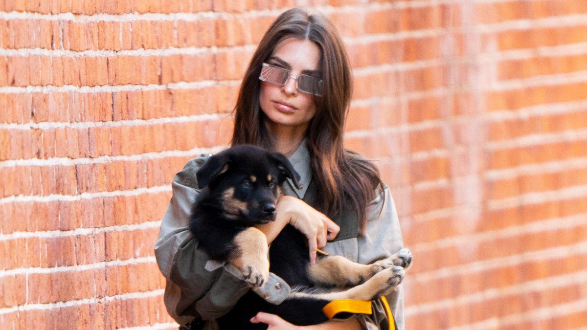 Emily-Ratajkowski-Tearfully-Drops-Her-Dog-Off-at-the-Vet