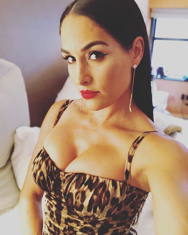 Nikki Bella Takes Selfie In Leopard Print Dress