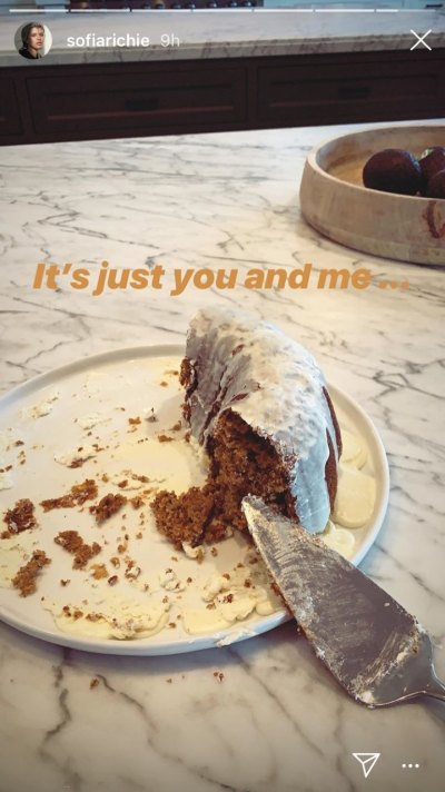 Sofia Richie's Instagram Story of a cake 