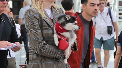 Sophie Turner, Joe Jonas