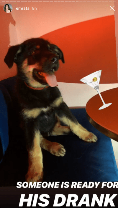 emily-ratajkowski-birthday-dog-colombo