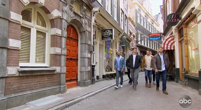 The guys on The Bachelorette