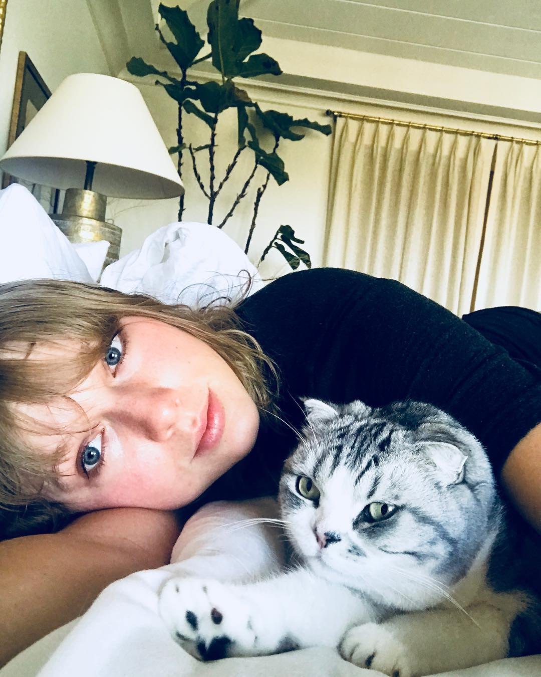 Guide To Taylor Swift s Cats Meredith Olivia And Benjamin Life Style Guide To Taylor Swift s Cats Meredith Olivia And Benjamin Life Style