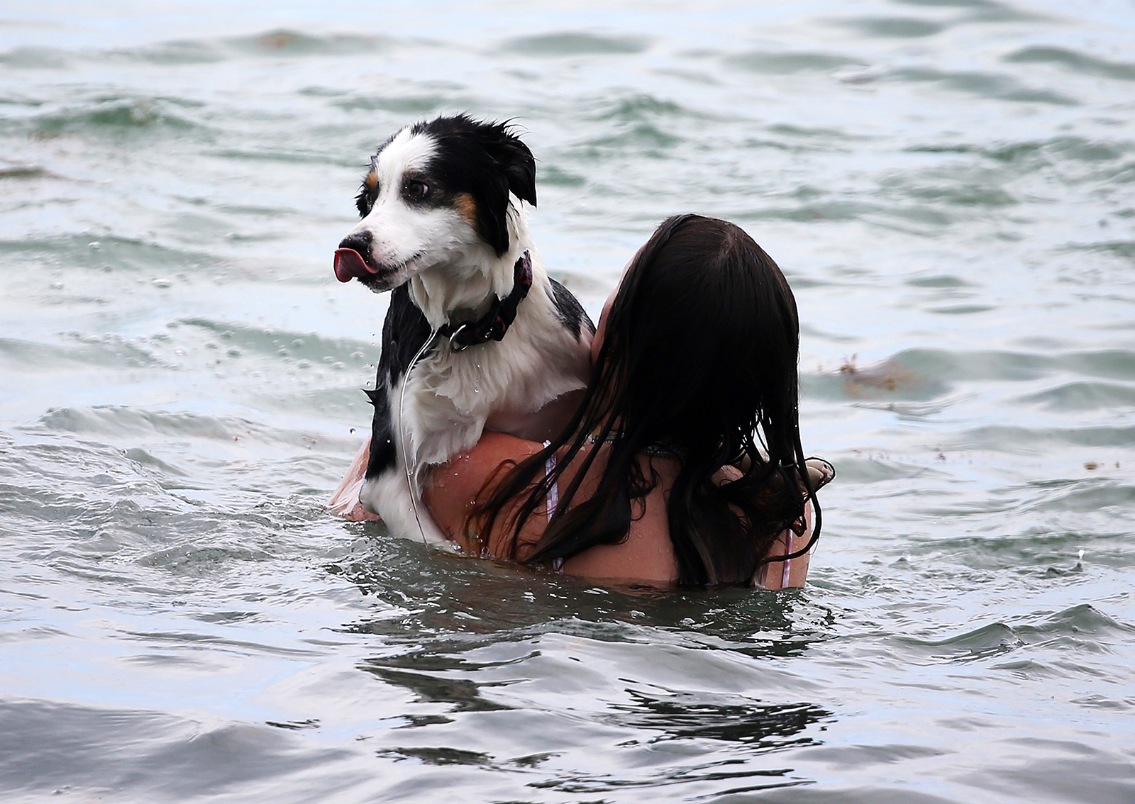 Bella Thorne Bikini Miami Beach Day Pup