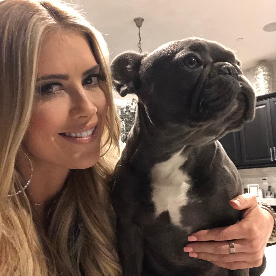 Cash The Frenchie Instagram Dogs