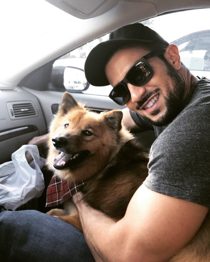 Copper Ash Instagram Dogs