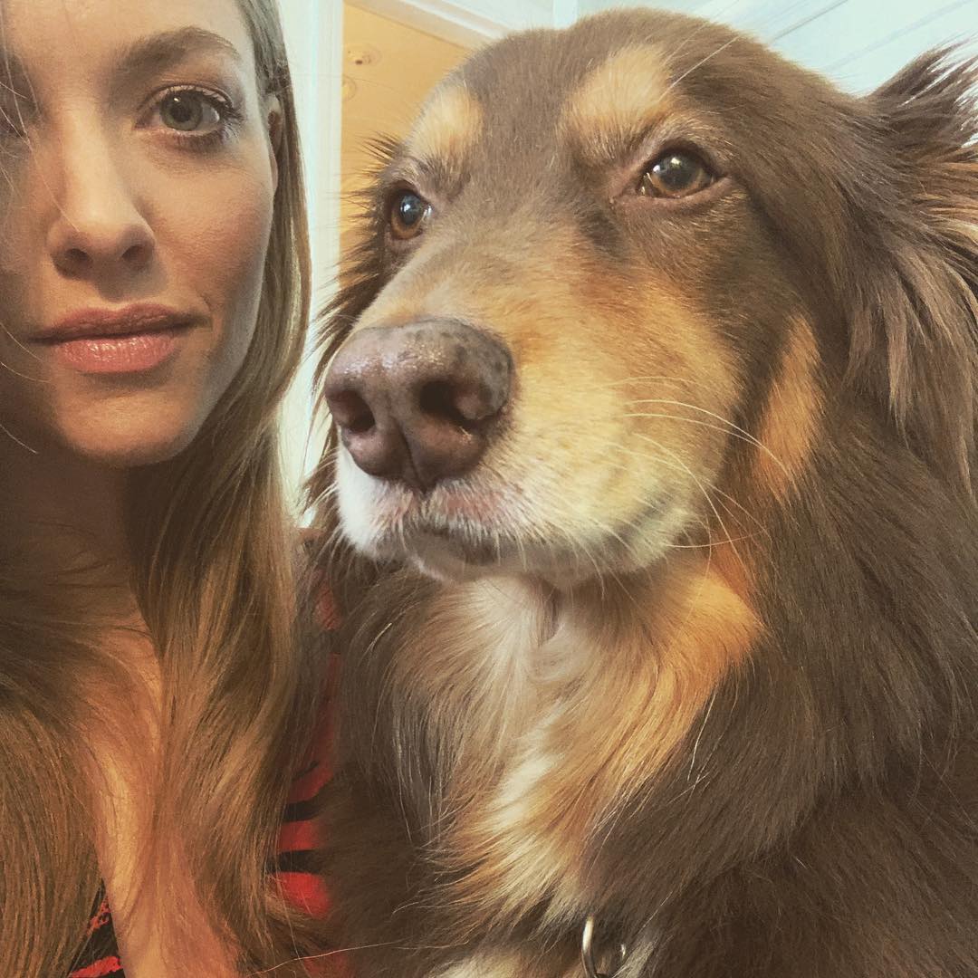 Finn Seyfried Instagram Dogs