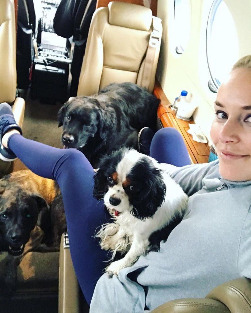 Marnie The Dog Instagram Dogs