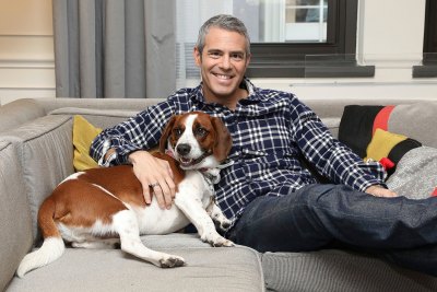 Wacha Cohen Instagram Dogs