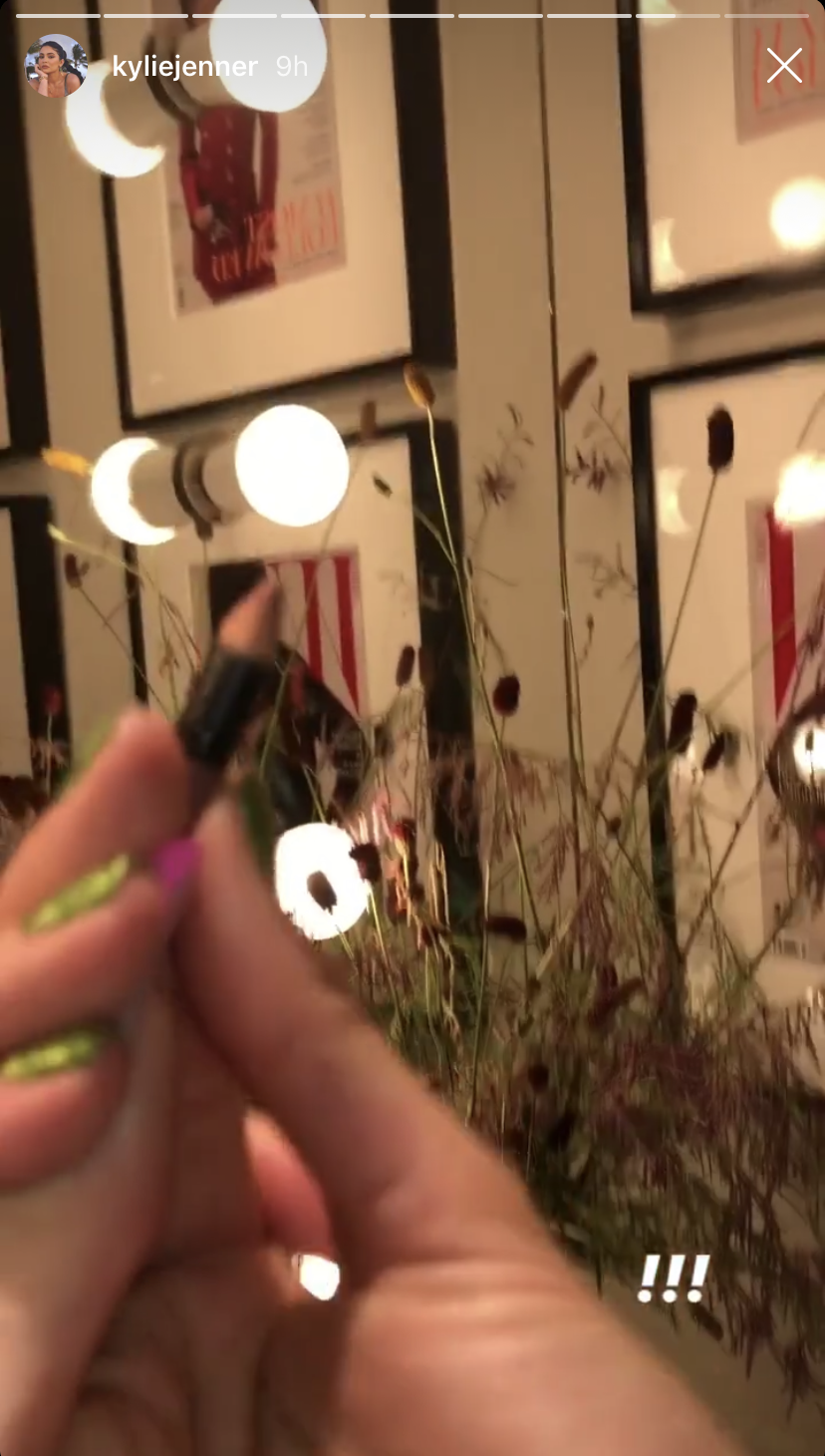 Kendall Jenner's Lip Pencil