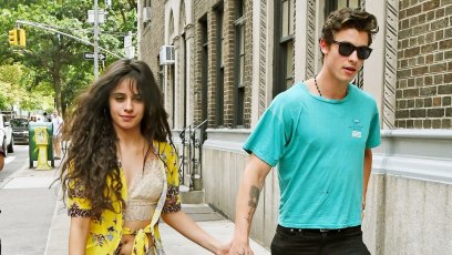 Shawn Mendes and Camila Cabello