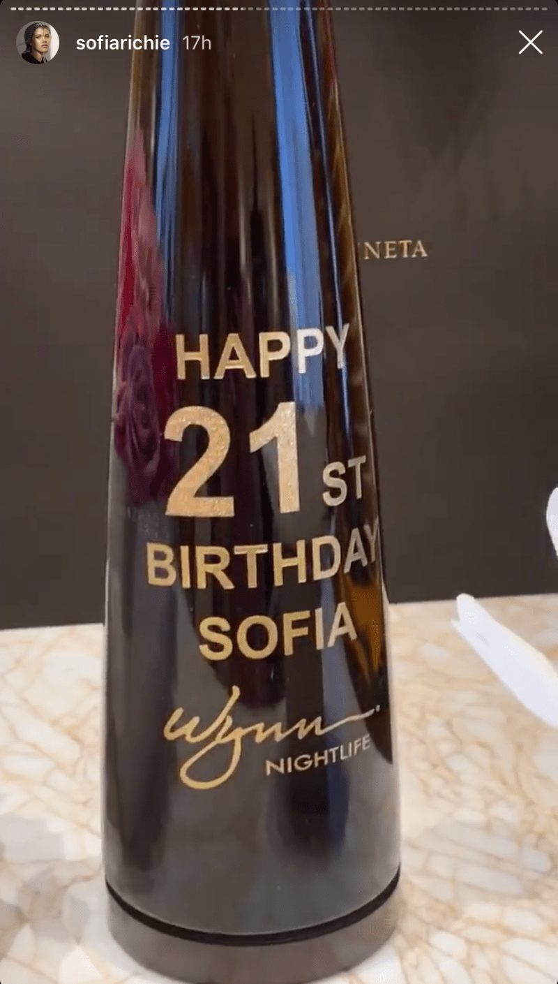 sofia-richie-birthday-party