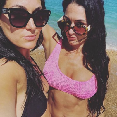 Nikki Bella in Pink Swimsuit and Brie Bella in Black Bikini Selfie in Bikinis