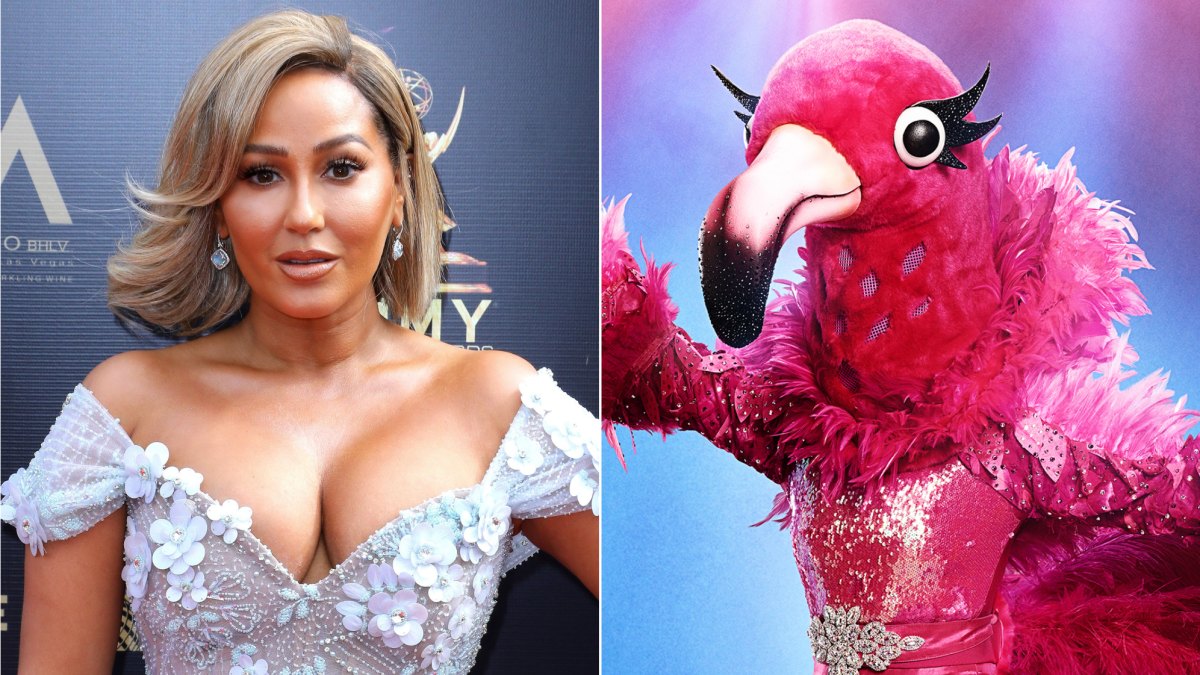 THE MASKED SINGER: The Flamingo.
