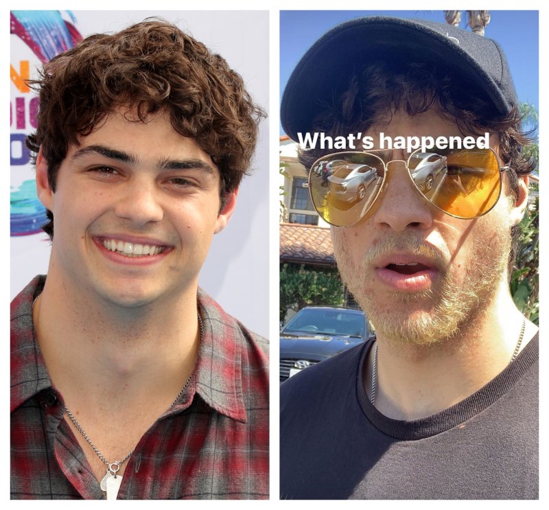 A split image of Noah Centineo