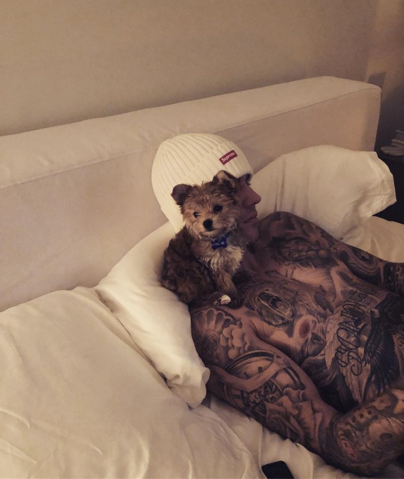 Justin Bieber Cuddles With New Puppy in December 2018