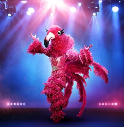 THE MASKED SINGER: The Flamingo.