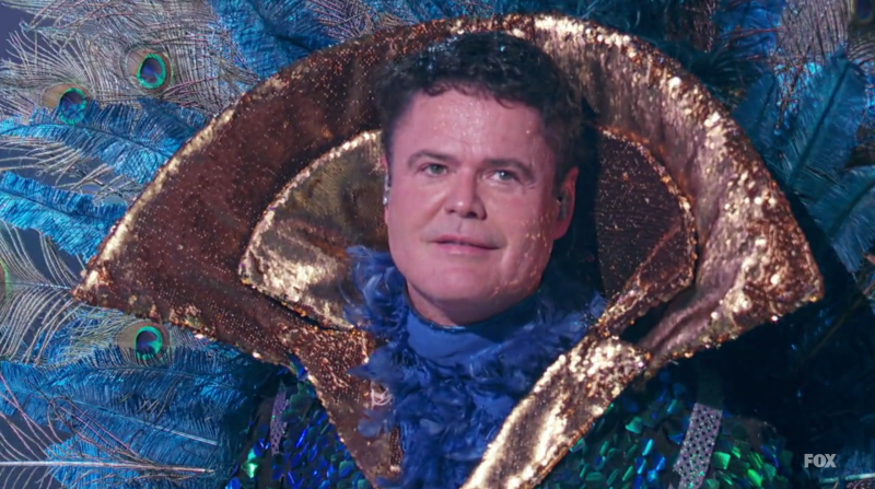 The Peacock on The Masked Singer is Donny Osmond
