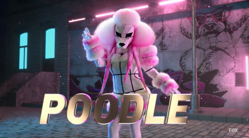 The Poodle on The Masked Singer