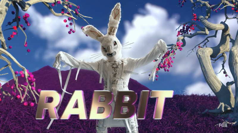 The Rabbit on The Masked Singer