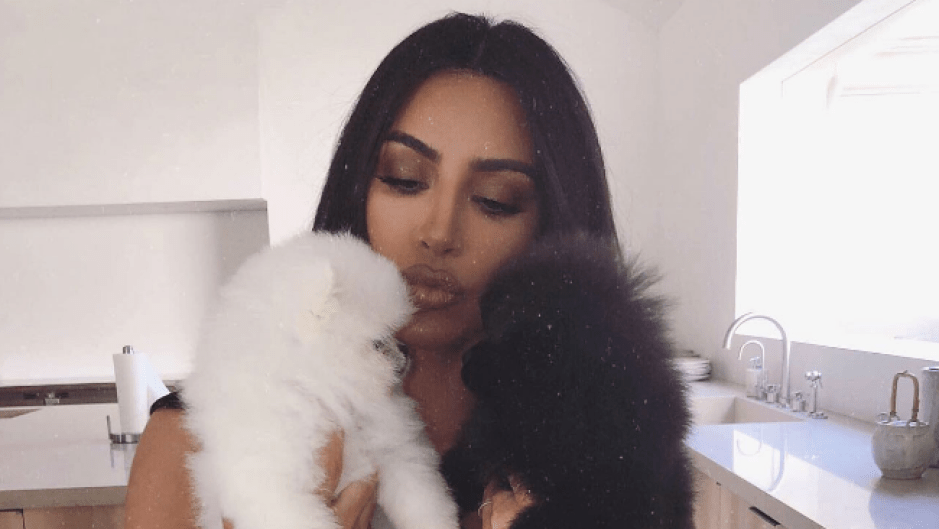 Kim Kardashian Holding Dogs
