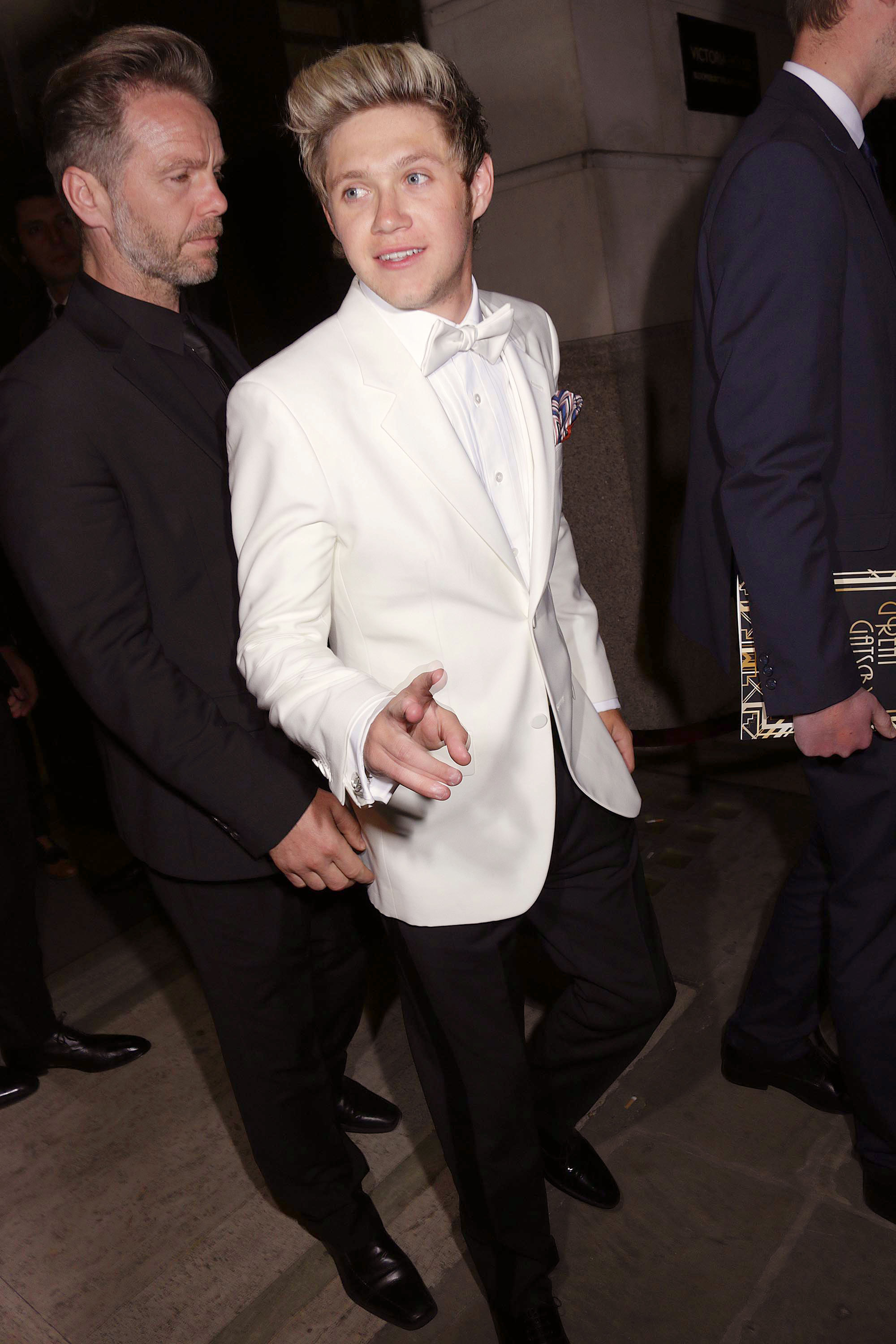 Niall Horan Transformation