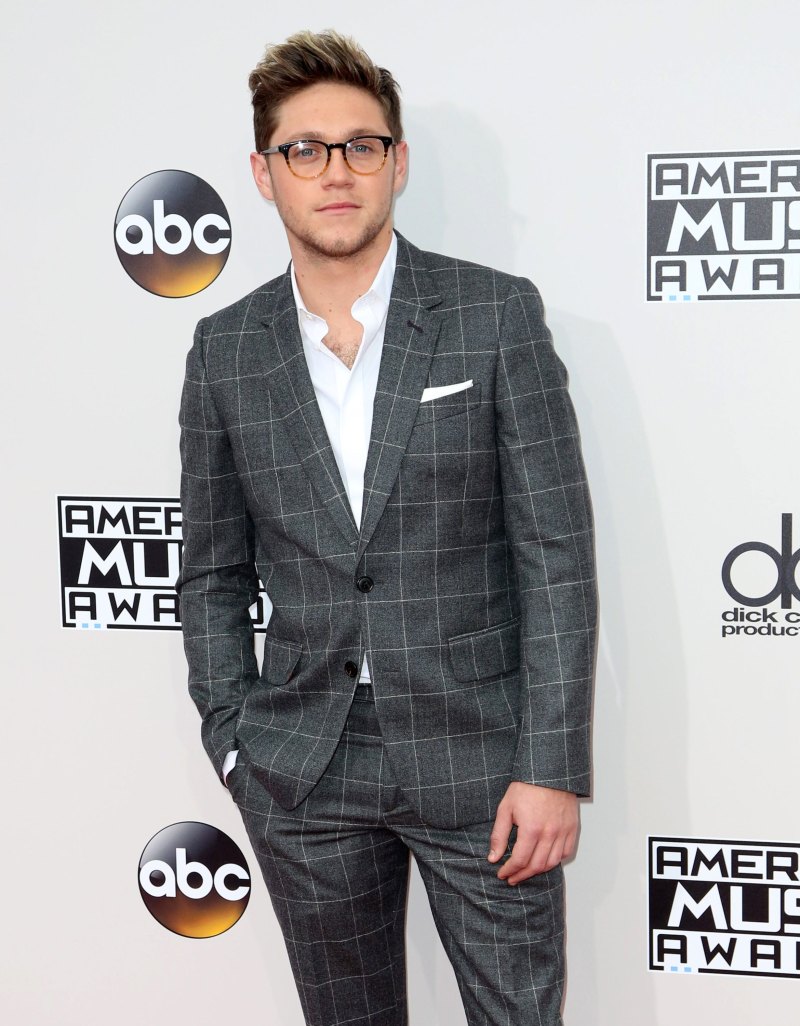 Niall Horan Transformation