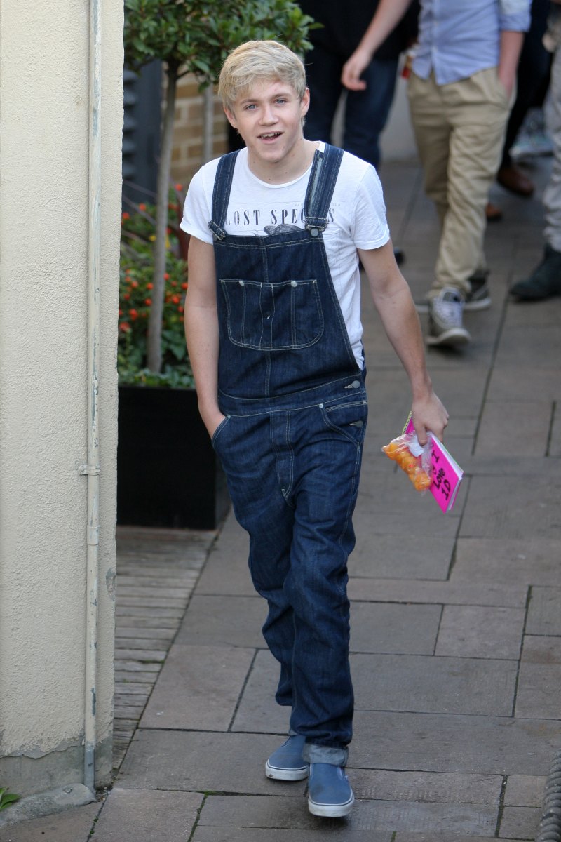 Niall Horan Transformation