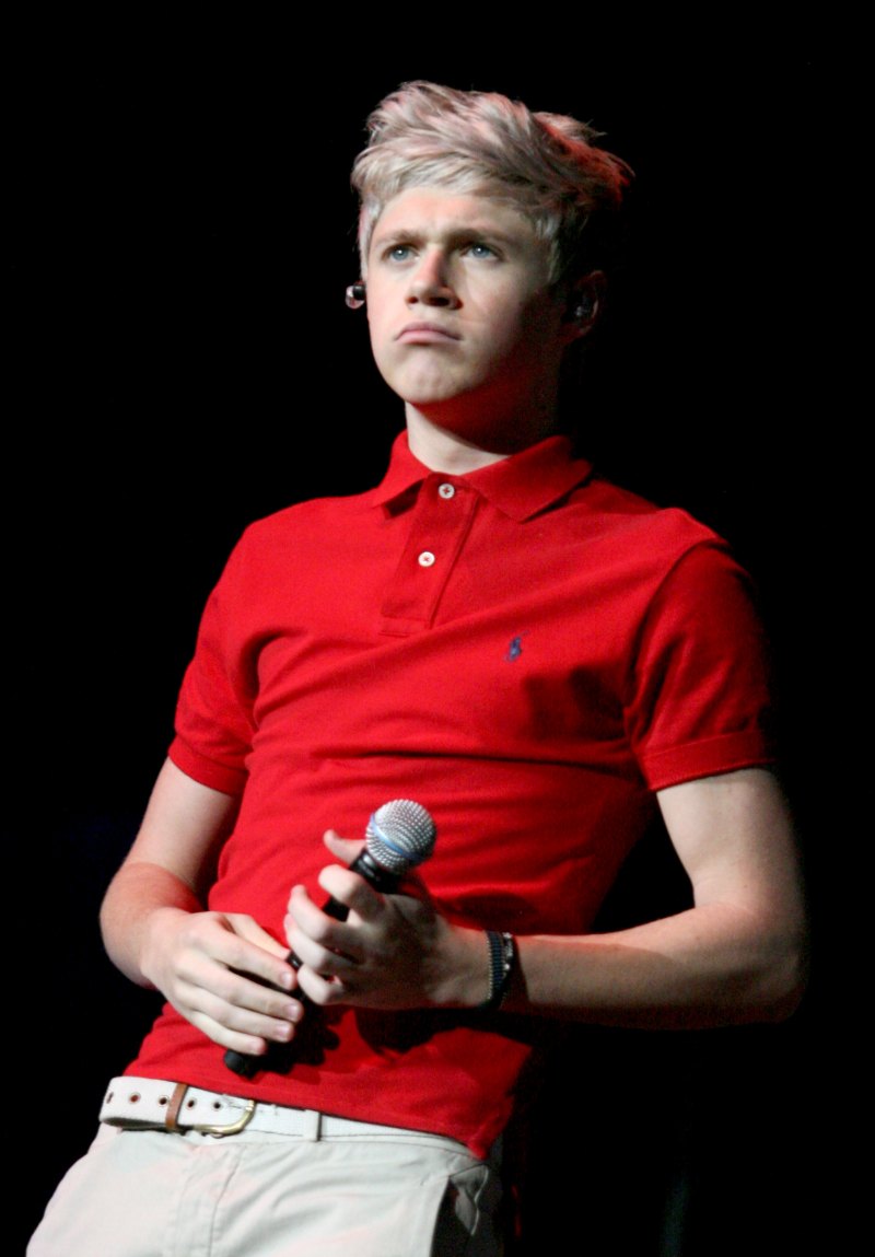 Niall Horan Transformation