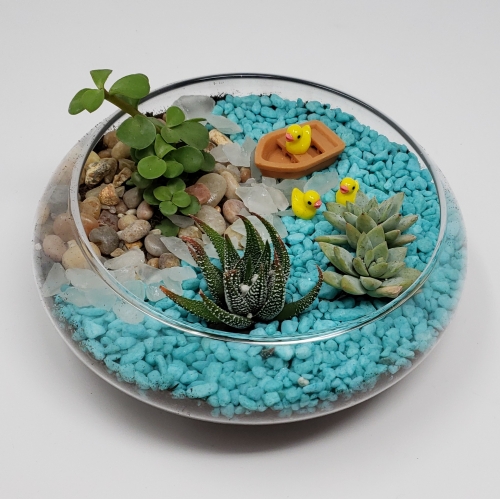 Terrarium
