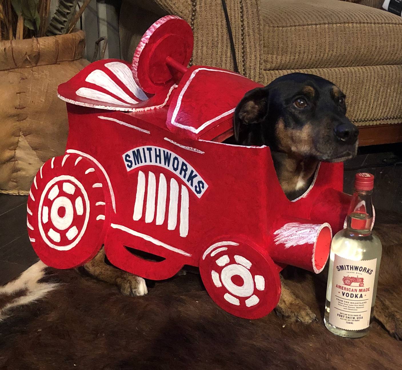 Celebrity Pet Halloween Costumes, Blake Shelton