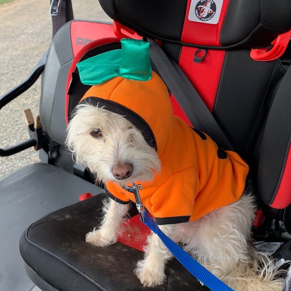 Celebrity Pet Halloween Costumes, Matt Roloff