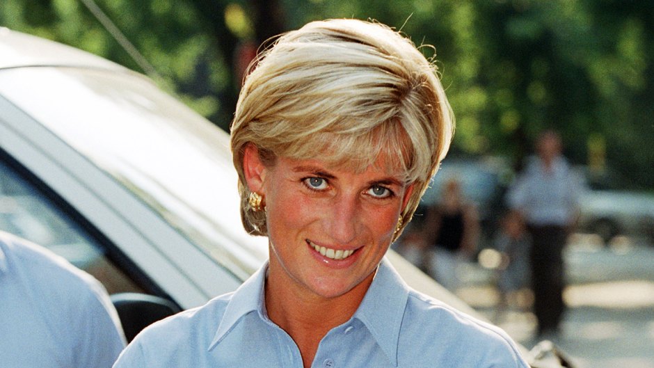 Fatal Voyage Diana Case Solved Claims Security Lead to Her Death